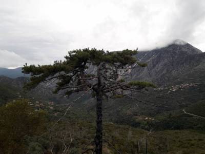 Επί Τάπητος: Οταν η Καλαμάτα “γέρνει” στη θάλασσα...