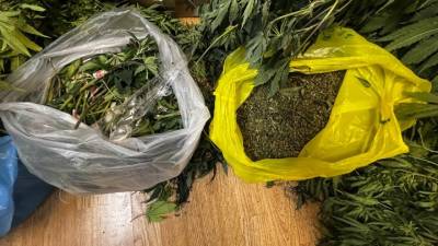 Πώς αλλάζει ο χάρτης των ναρκωτικών στην Ελλάδα: Κάνναβη και κοκαΐνη κυριαρχούν