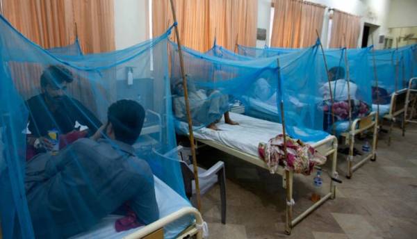 Επιδημία δάγκειου πυρετού στο Περού - 445 οι νεκροί