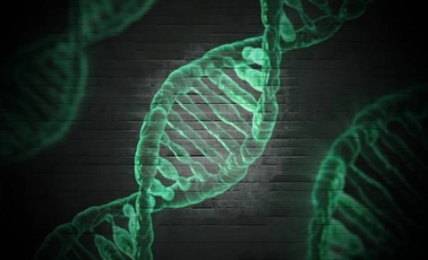 Νέες δυνατότητες για τη θεραπεία των γενετικών ασθενειών
