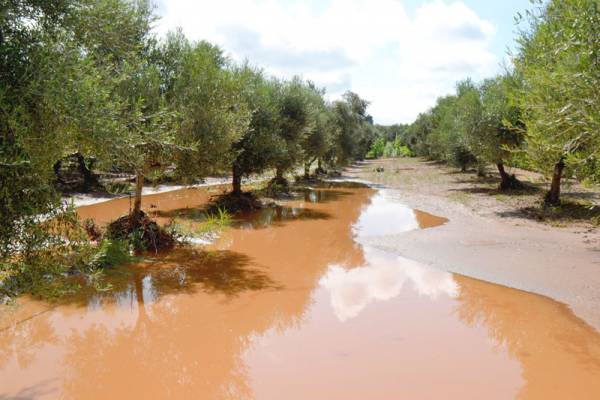 Το Γεωτεχνικό Επιμελητήριο για τις καταστροφές από την κακοκαιρία  