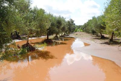 Το Γεωτεχνικό Επιμελητήριο για τις καταστροφές από την κακοκαιρία