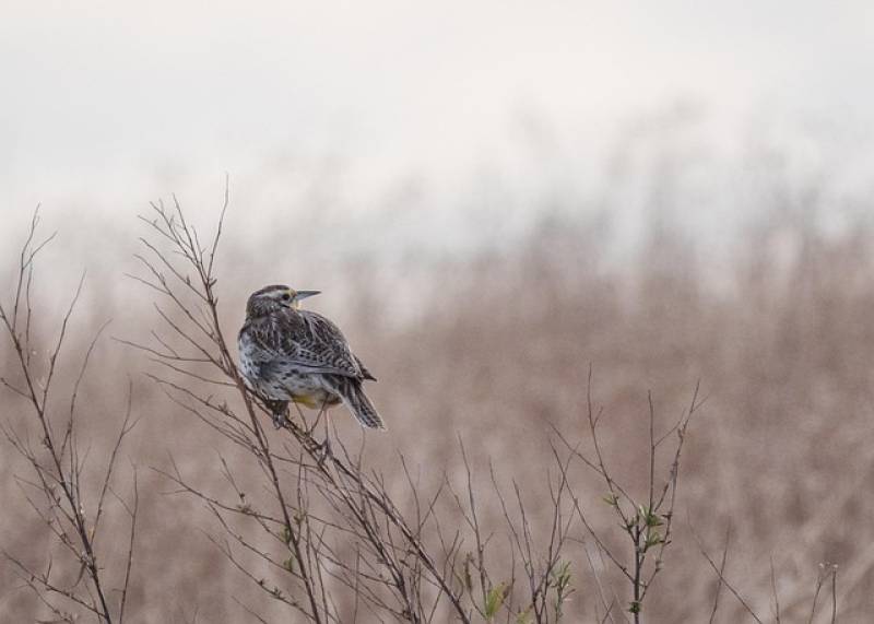 Τι λένε τα ζώδια σήμερα (22/11)