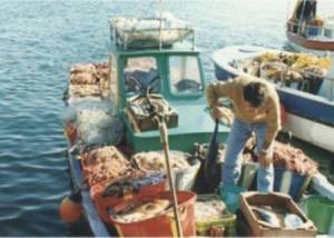 Γούργαρης κατά ΕΕ  για την παράκτια αλιεία