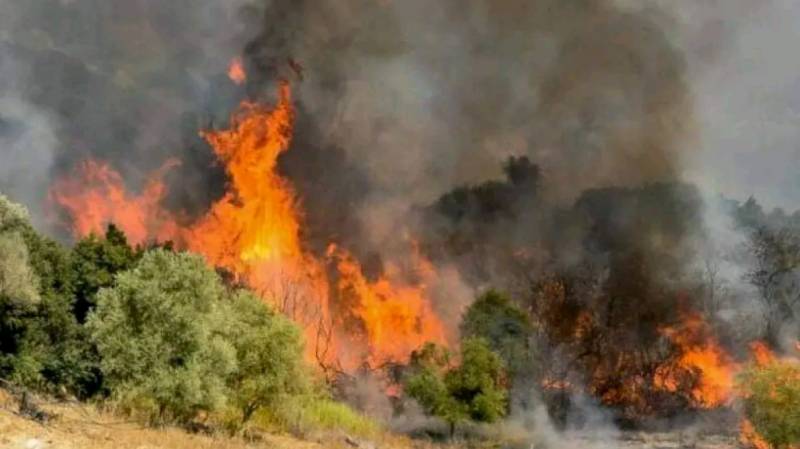 Μεσσηνία: Μεγάλη πυρκαγιά στο Νεοχώρι Οιχαλίας