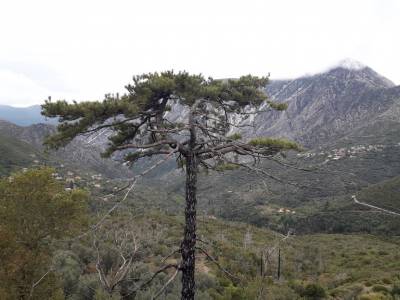Τις δράσεις για το νέο έτος σχεδιάζουν στον Ορειβατικό Σύλλογο Καλαμάτας
