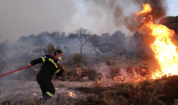 Ζάκυνθος: Φωτιά στην περιοχή Νερατζούλες - Eπιχειρούν εναέρια μέσα