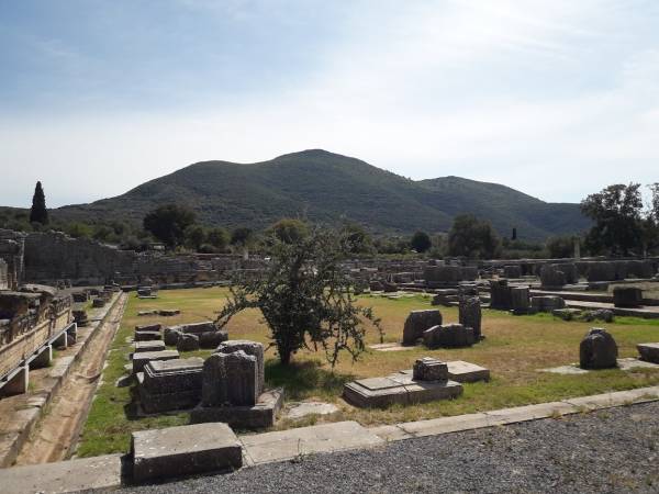 Ξεκινά η καταγραφή της βιοποικιλότητας σε είκοσι αρχαιολογικούς χώρους της Ελλάδας