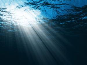 Στο χείλος μαζικής εξαφάνισης η θαλάσσια ζωή