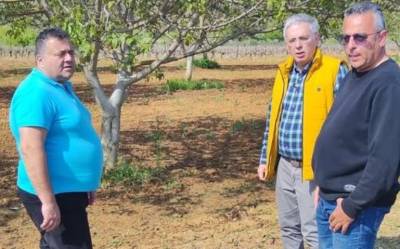 Αποζημιώσεις για παγετό ζητεί ο Μάκαρης