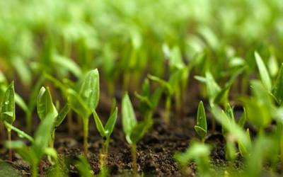 Ενημέρωση και εκπαίδευση ψεκαστών και γεωτεχνικών στα Φιλιατρά