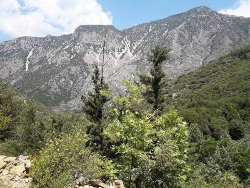Συντονιστική Επιτροπή Χωριών: “Ο Ταΰγετος εκπέμπει SOS”