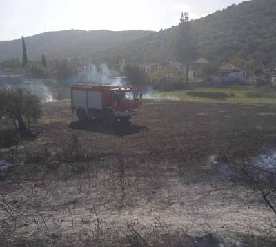 Μεσσηνία: Ανησυχία από το μπαράζ πυρκαγιών των τελευταίων ημερών