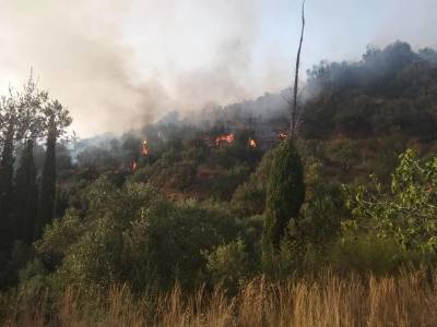 Καλαμάτα: Ετοιμότητα για εκκένωση της Κάτω Αμφειας λόγω της φωτιάς στα Ελληνικά