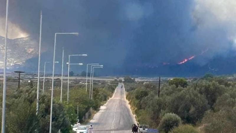 Καλύτερη η εικόνα της φωτιάς στην Εύβοια - Διάσπαρτες εστίες αντιμετωπίζουν οι πυροσβεστικές δυνάμεις