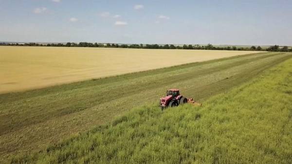 Σε απόγνωση οι Ουκρανοί αγρότες που δεν μπορούν να μαζέψουν τα σιτηρά (βίντεο)