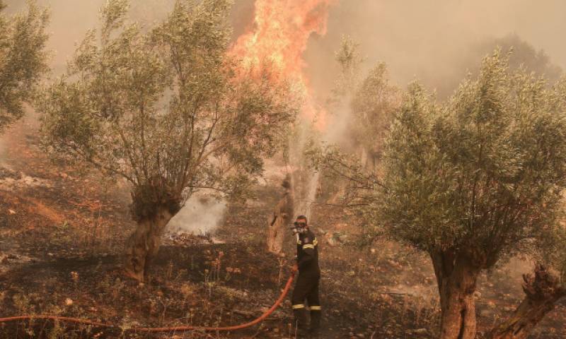 Πολύ υψηλός κίνδυνος πυρκαγιάς σήμερα στη Μεσσηνία