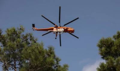 Ναύπλιο: Μεγάλη φωτιά σε δασική έκταση στο Αραχναίο