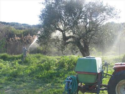 Η διαχρονική  ντροπή της δακοκτονίας