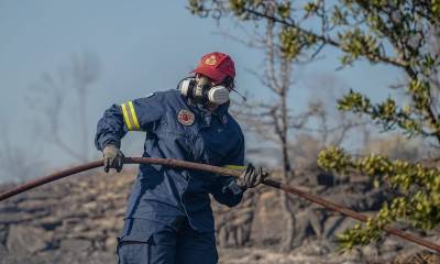 Πυροσβεστική: 49 πυρκαγιές το τελευταίο 24ωρο σε όλη τη χώρα