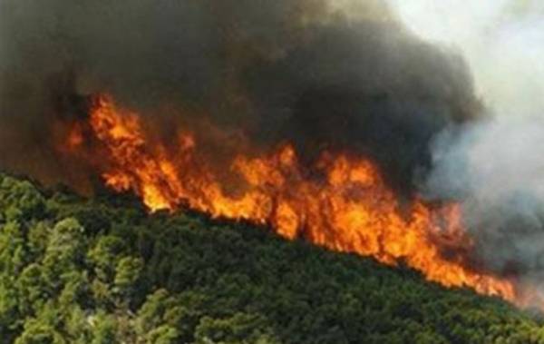 Κέρκυρα: Μεγάλη φωτιά απειλεί κατοικημένες περιοχές - Εκκενώθηκαν δύο χωριά