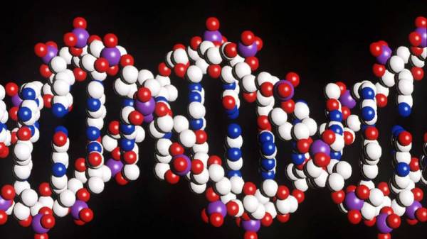 Έρευνα: Μερικά γονίδια συνεχίζουν να λειτουργούν και μετά το θάνατο