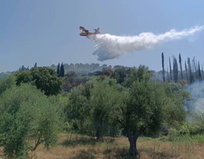 Μεσσηνία: Κάηκαν 20 στρέμματα αγροτοδασικής έκτασης στο Χαρακοπιό (βίντεο)