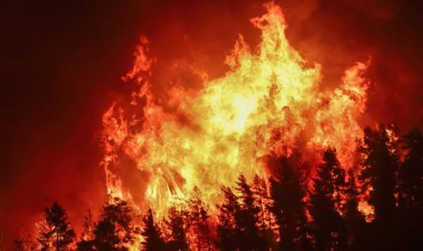 Κομοτηνή: Πάνω από 100 στρέμματα δασικής έκτασης έκαψε η φωτιά στη Νυμφαία