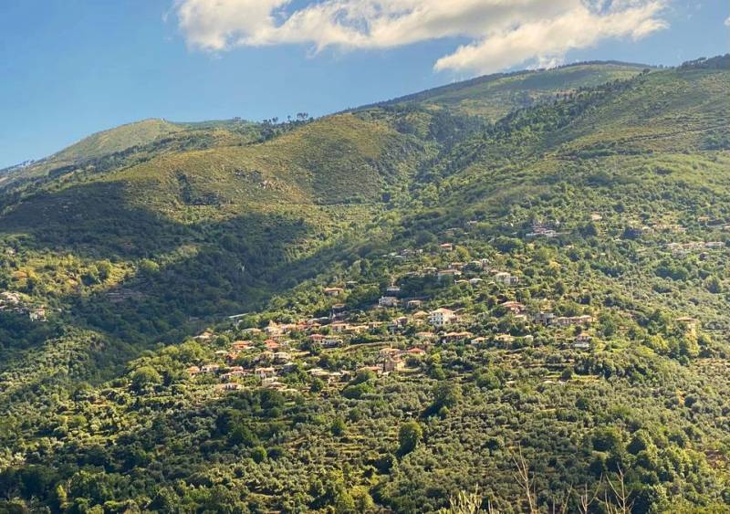 Πρότυπος οπωρώνας και βοτανόκηπος στην Αλαγονία