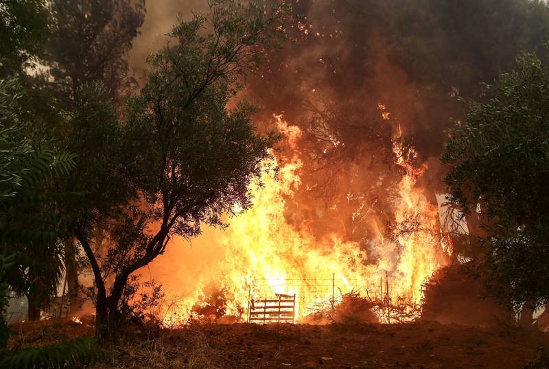 Περιφέρεια Αττικής: Ξεκίνησε η καταγραφή ζημιών σε επιχειρήσεις που επλήγησαν από τις πυρκαγιές