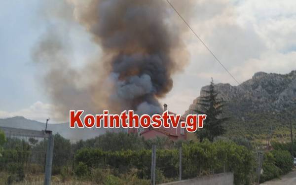 Μεγάλη φωτιά στις Κεχριές Κορινθίας: Πληροφορίες για εκκένωση οικισμών και κατασκήνωσης