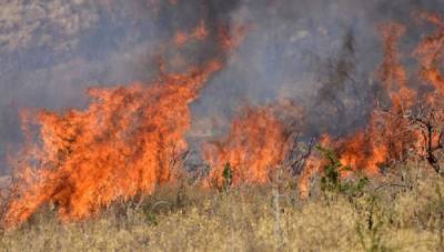 Δύσκολη αλλά επιτυχημένη η φετινή αντιπυρική περίοδος στη Μεσσηνία