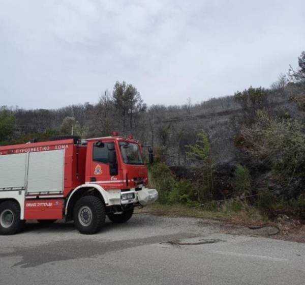 Μεσσηνία: Κινητοποίηση της Πυροσβεστικής για πυρκαγιά στην περιοχή του Κάκκαβα Τριφυλίας