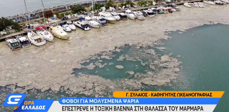 Θάλασσα Μαρμαρά: Εμφανίστηκε πάλι η τοξική βλέννα - Θα φτάσει στην Ελλάδα;