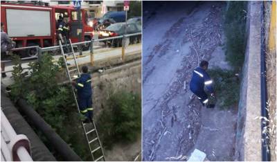 Καλαμάτα: Επιχείρηση διάσωσης μικρής γάτας στο Νέδοντα