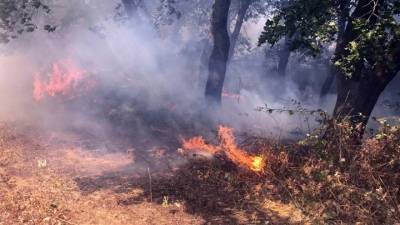 Εσπερίδα για το περιβάλλον αύριο στην Καλαμάτα