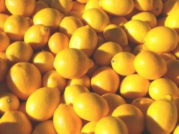 Ανήλικος Αλβανός έκλεψε 10 τόνους λεμόνια από αγροκτήματα