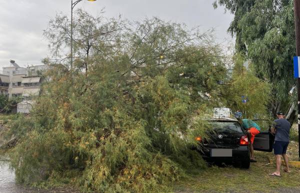 Καλαμάτα: Δέντρο έπεσε σε αυτοκίνητο στη Μαρίνα - Ζημιές σε ουζερί στο λιμάνι (φωτογραφίες)