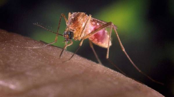 Άκρως ελπιδοφόρο ένα νέο εμβόλιο κατά της ελονοσίας