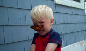 Η απελευθέρωση της πεταλούδας έκρυβε μια έκπληξη για τον μικρό...