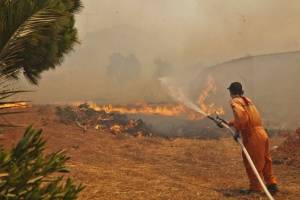 Σε ύφεση οι πυρκαγιές στην Πελοπόννησο - Ξεκινά η καταγραφή των ζημιών