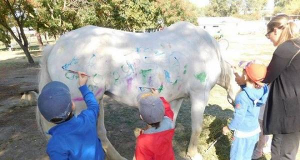 Σάλος στη Θεσσαλονίκη: Εβαλαν παιδάκια να ζωγραφίσουν πάνω σε άλογα!