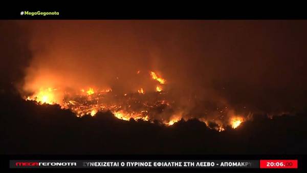 Ηλεία: Μνήμες από την πυρκαγιά του 2007 – Εκκενώθηκαν οικισμοί (βίντεο)