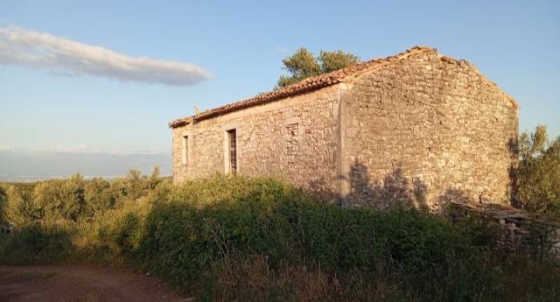 Χατζίκα Μεσσηνίας: Eνα έρημο χωριό ξαναγεννιέται μέσα από συλλογικές δράσεις