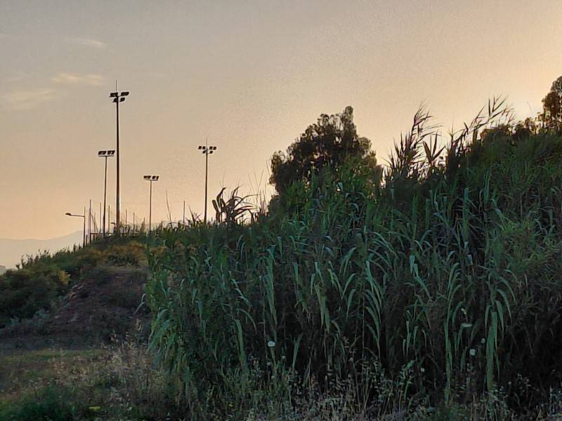 “Λαϊκή Συσπείρωση” Δήμου Καλαμάτας: Ζητεί άμεσο καθαρισμό των 17 στρεμμάτων στον Κορδία