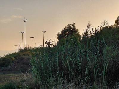 “Λαϊκή Συσπείρωση” Δήμου Καλαμάτας: Ζητεί άμεσο καθαρισμό των 17 στρεμμάτων στον Κορδία