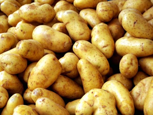 Πατάτες χωρίς σήμανση για την περιοχή προέλευσης στη Λαϊκή της Καλαμάτας