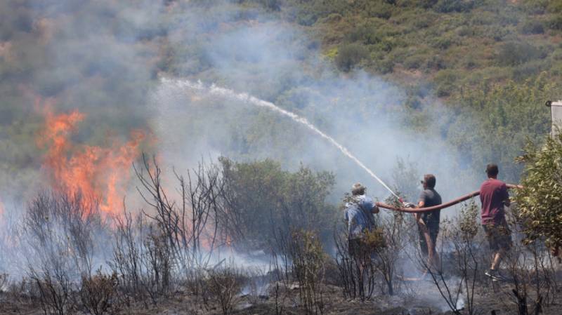 Σε 5.551 στρέμματα ανέρχονται οι καμένες εκτάσεις στην Αττική από τις πυρκαγιές του περασμένου Σαββατοκύριακου, 29 και 30 Ιουνίου