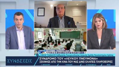 Τζανάκης: Μάλλον δεν είναι νέος ιός η πνευμονία που «χτυπάει» τα παιδιά - Προσοχή στους εξασθενημένους υπερήλικες (Βίντεο)