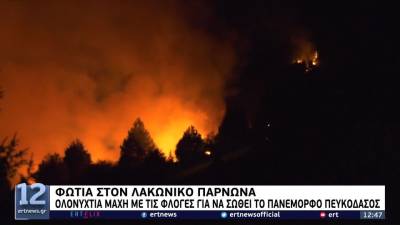 Φωτιά στον Λακωνικό Πάρνωνα (βίντεο)